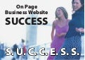 Success1