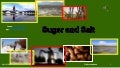 Sugar and Salt