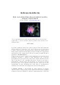 Sulla Nascita Della Vita - WWW.OLOSCIENCE.COM