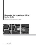 Exec Summary: Social Media ROI 
