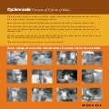 Cyclewaale Calendar