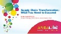 Supply Chain Transformation -  What You Need to Succeed - Susan Lasecki-Corio, Head of Strategy Performance, Group Supply Chain at Anglo American