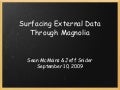 Surfacing External Data Through Magnolia