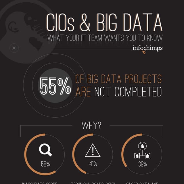 Infographic: CIOs & Big Data