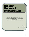 The Self, Meaning and Sustainability