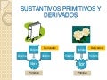 Sustantivos Primitivos Y Derivados