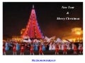 Holiday Travel Deals and Rest with SacVoyage.am