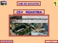 SVB: INCONSCIENCIA