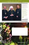 Svots Annual Report 2008 11 X17 Full Re7