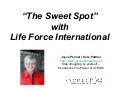 Life Force is in it&rsquo;s Sweet Spot