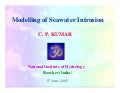 Modelling of Seawater Intrusion