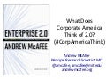 What Does Corporate America Think of 2.0?