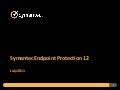 Symantec Endpoint Protection 12