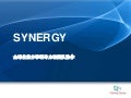 Synergy 全球化的分享领导力和团队协作