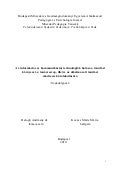 Szakdolgozat kovacs m