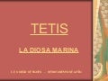 T E T I S1