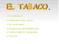 Tabacoo