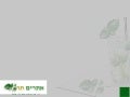 עיצוב טבלה או שינוי עיצוב קיים בעורך הטקסט 
