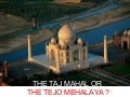 Taj Mahal or Tejo Mahalya