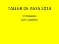Taller de aves 2013