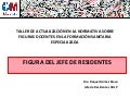 TALLER DE FIGURAS DOCENTES: Figura del Jefe de Residentes Hospital Universitario La Paz (Madrid)