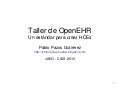 Taller open ehr   cais 2010 - pablopazos