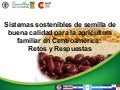 Taller semillas 2011 Allan Hruska