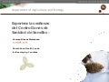 Taller semillas 2011 Carmen Nieves Mortensen