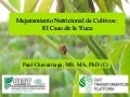 Taller semillas 2011 Paul Chavarriaga