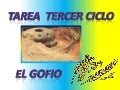 Tarea 3er ciclo