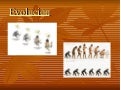 La evolución