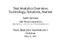 Text Analytics Overview, 2011