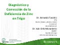 Diagnostico y correccion de la deficiencia de Zinc en trigo