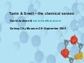Taste & Smell: The Chemical Senses, meetforeal