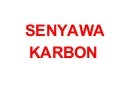 Tata Nama Senyawa Karbon