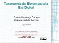 Taxonomía Bloom Digital - Síntesis