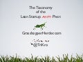 Taxonomy of the Lean Startup Anti-Pivot