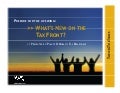 Plante & Moran - 2009 Tax Webinar Presentation