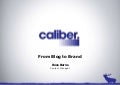 TBU - Caliberi: Blog to Brand