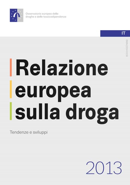 Rapporto 2013