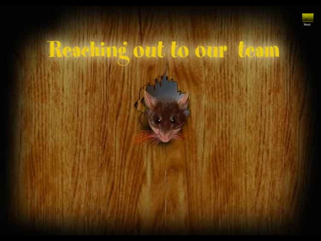 Teamwork Mouse Story