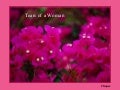 Tearsofawoman 2