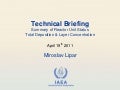 Summary of reactor unit status - 19 April 2011