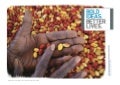 Technology in social innovation