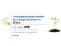 Technopreneurship and the Early Stage Ecosystem in China 2011