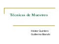 Tecnicas de muestreo