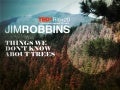 TEDxRio+20 - Jim Robbins - Things we don&rsquo;t know about trees