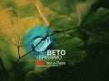 TEDxVer-o-Peso - Beto Veríssimo - Quando o jeito diferente de viver atinge uma região inteira