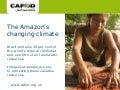 The Amazon's changing climate