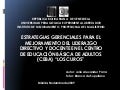 ESTRATEGIAS GERENCIALES PARA EL MEJORAMIENTO DEL LIDERAZGO DIRECTIVO Y DOCENTE EN EL CENTRO DE EDUCACIÓN BÁSICA DE ADULTOS (CEBA) “LOS CUROS”